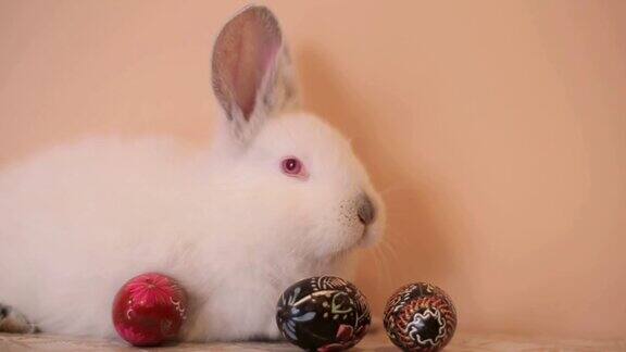 一个装满彩绘复活节彩蛋的篮子里有一只复活节兔子