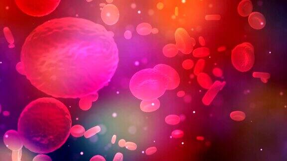 红细胞在动脉中流动医学背景