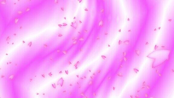 粉红色的樱桃花瓣从右到左在移动的粉红色渐变背景与光泽的表面抽象的背景副本的空间