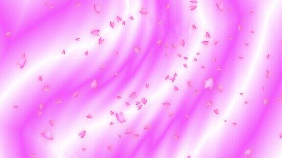 粉红色的樱桃花瓣从左到右在移动的粉红色渐变背景与光泽的表面抽象的背景副本的空间