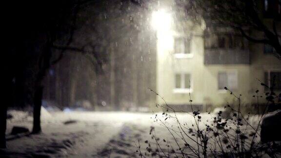 楼前大雪纷飞晚上