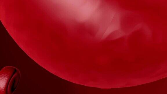 红细胞和白细胞在血管中流动