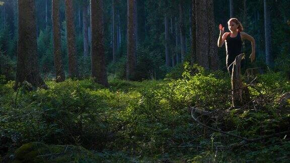 日落时分年轻的女跑步者在树林里进行运动训练