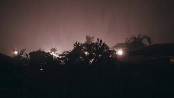 阵风在暴雨中吹着棕榈树的剪影(延时)
