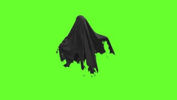 黑色幽灵在绿色屏幕上飞行
