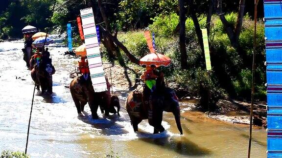 高清:任命的大象(泰国传统文化)