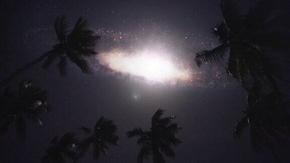 月光透过棕榈叶黑暗天空中的星系