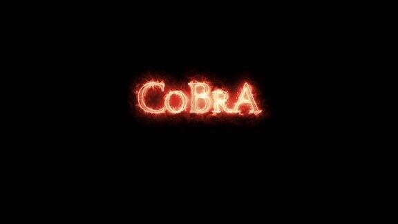 CoBrA用火写的循环