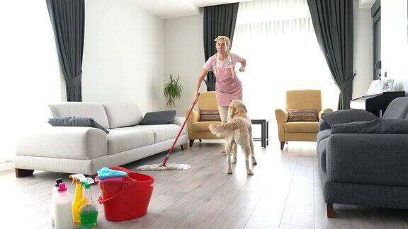 清理狗在房子里