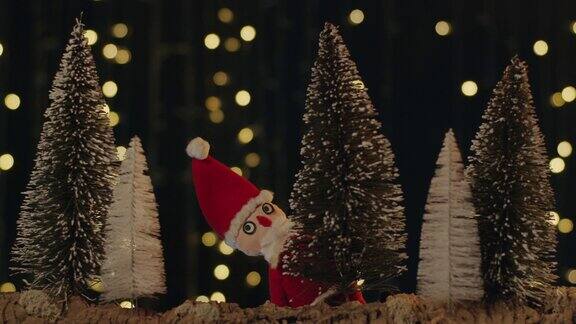 一个小圣诞老人躲在圣诞树后面