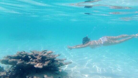 女人浮潜在一个热带岛屿的珊瑚礁上