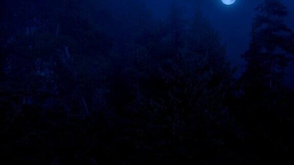 飞过迷雾森林月亮在上面