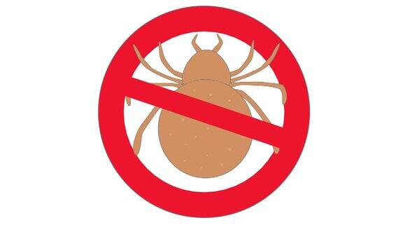 图标通知你蜱虫的危险