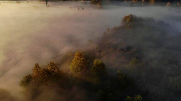 日出时雾和彩色树木的惊人鸟瞰图秋天的雾景观雄伟的雾森林鸟瞰图迷雾乡村的日出魔法雾到地平线史诗般的神奇自然景观