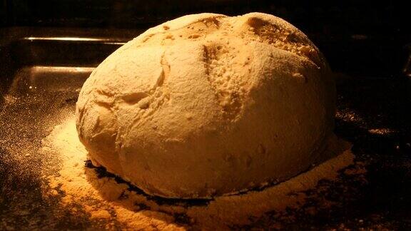 面包在烤箱中发酵