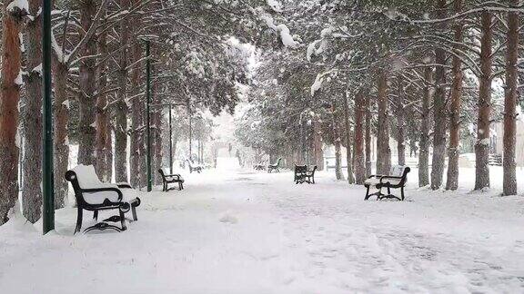 冬天公园下着雪城市公园里有暴风雪
