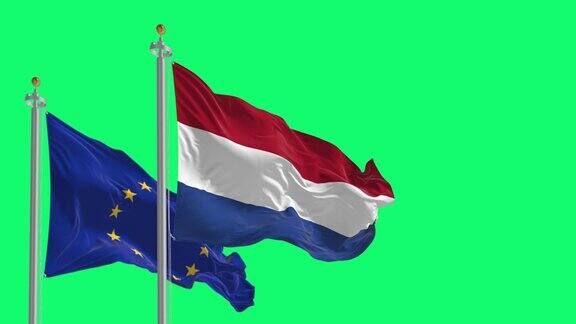 荷兰和欧盟的旗帜分别在绿色背景上飘扬