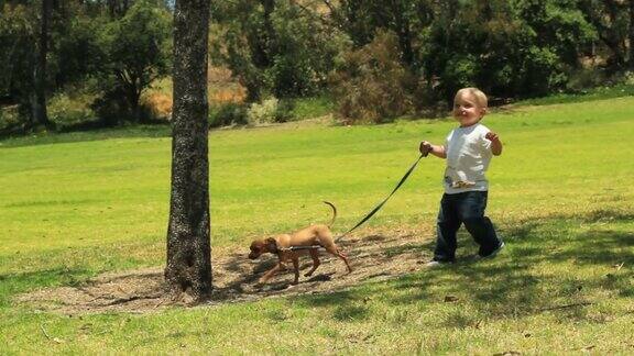 小男孩在草地上遛狗