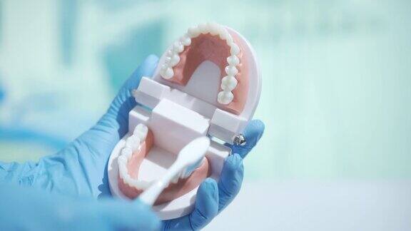 戴着假牙的牙医在牙医诊所学习如何拔牙