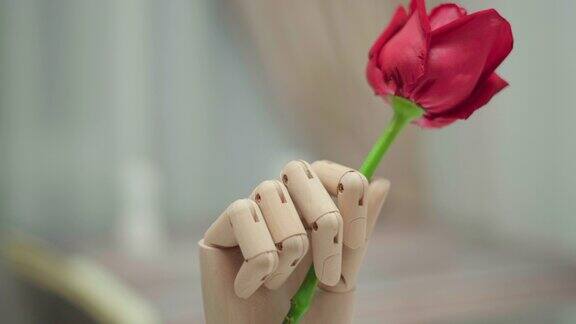 木制的人类手拿着一朵红玫瑰