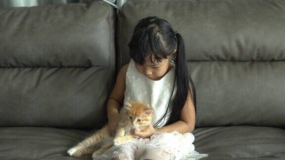 小女孩抱着小猫