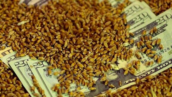 麦粒浇铸在美元钞票上农产品销售收入
