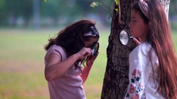两个美丽的小女孩和朋友们通过放大镜看植物上的昆虫在公园里玩耍阳光明媚的秋日在公园里有说有笑