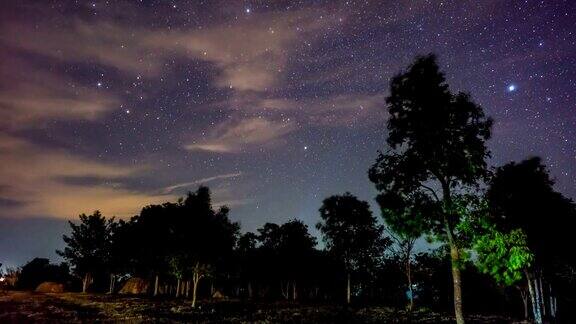 热带森林的夜空与移动的星星