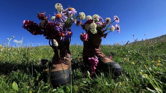 带着美丽花朵的登山靴