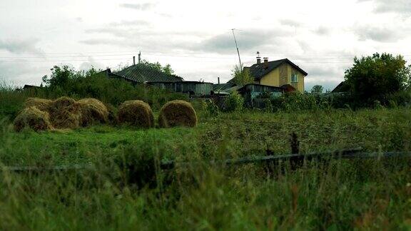 村子里的房子一捆捆的干草