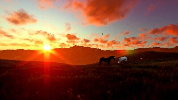 两匹马在绿色的草地上美丽的夕阳
