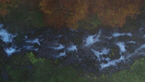 无人机拍摄的杜米托国家公园雾气蒙蒙的白水河