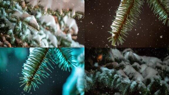 拼贴视频雪花落在冷杉树的树枝上雪花从森林里松树的树枝上飘落下来慢动作