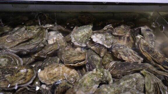 新鲜的牡蛎在水族馆出售与清澈的水关闭