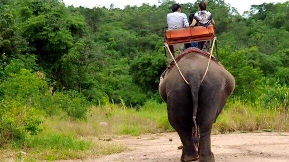 在泰国用大象徒步旅行