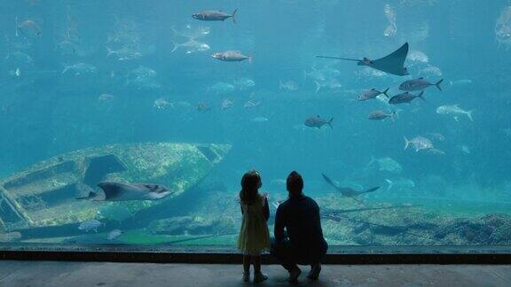 爸爸和女儿在水族馆里看着美丽的鱼在鱼缸里游泳小女孩好奇地看着海洋动物和爸爸在水族馆里开心地学习海洋生物