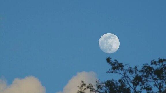月亮在蓝天下升起