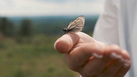 女孩手里拿着一只蝴蝶飞走了特写