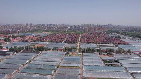 中国农场现代温室种植的航空摄影