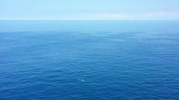 夏威夷大岛凯卢阿科纳座头鲸的鸟瞰图