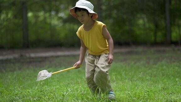 亚洲男孩探索自然界的植物和昆虫生活