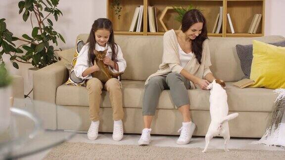 快乐的妈妈和女儿在沙发上爱抚着猫和狗