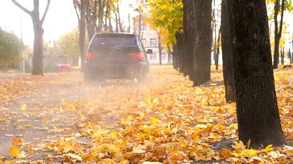 强大的SUV快速行驶在空旷的道路上越过公园的黄叶五颜六色的秋叶从汽车车轮下飞了出来一辆黑色轿车在阳光明媚的日子穿过小巷后视