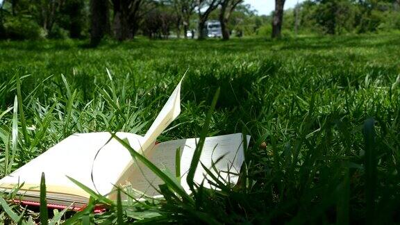 书在公园里翻动