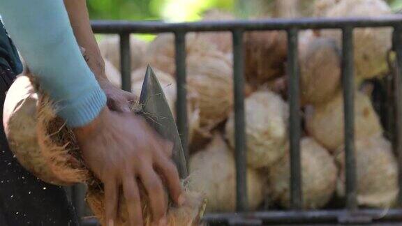 近距离的手剥椰子与户外尖刀在过程中
