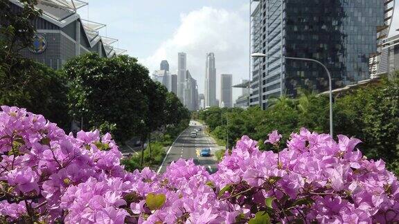 新加坡市区中心交通街道步行桥花海全景4k