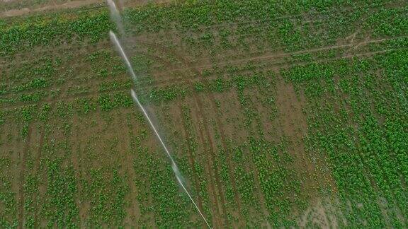空中农业洒水器给田地浇水