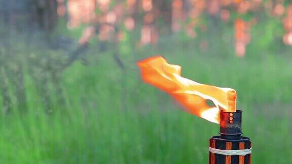 液体燃料竹火炬在森林中燃烧