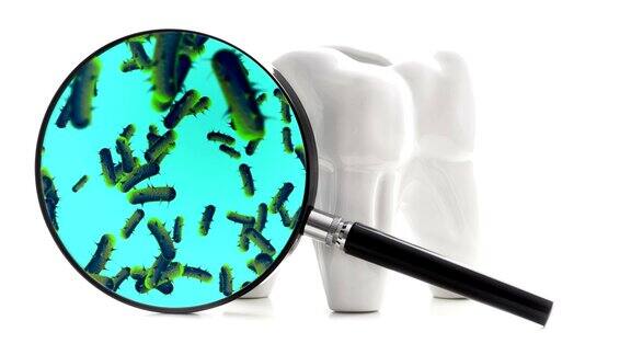 牙齿周围有细菌和病毒