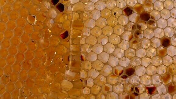 蜂巢蜂窝碎片抽象背景